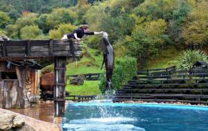 Cabárceno + Telecabina y opción a menú ¡Niños hasta 3 años gratis!